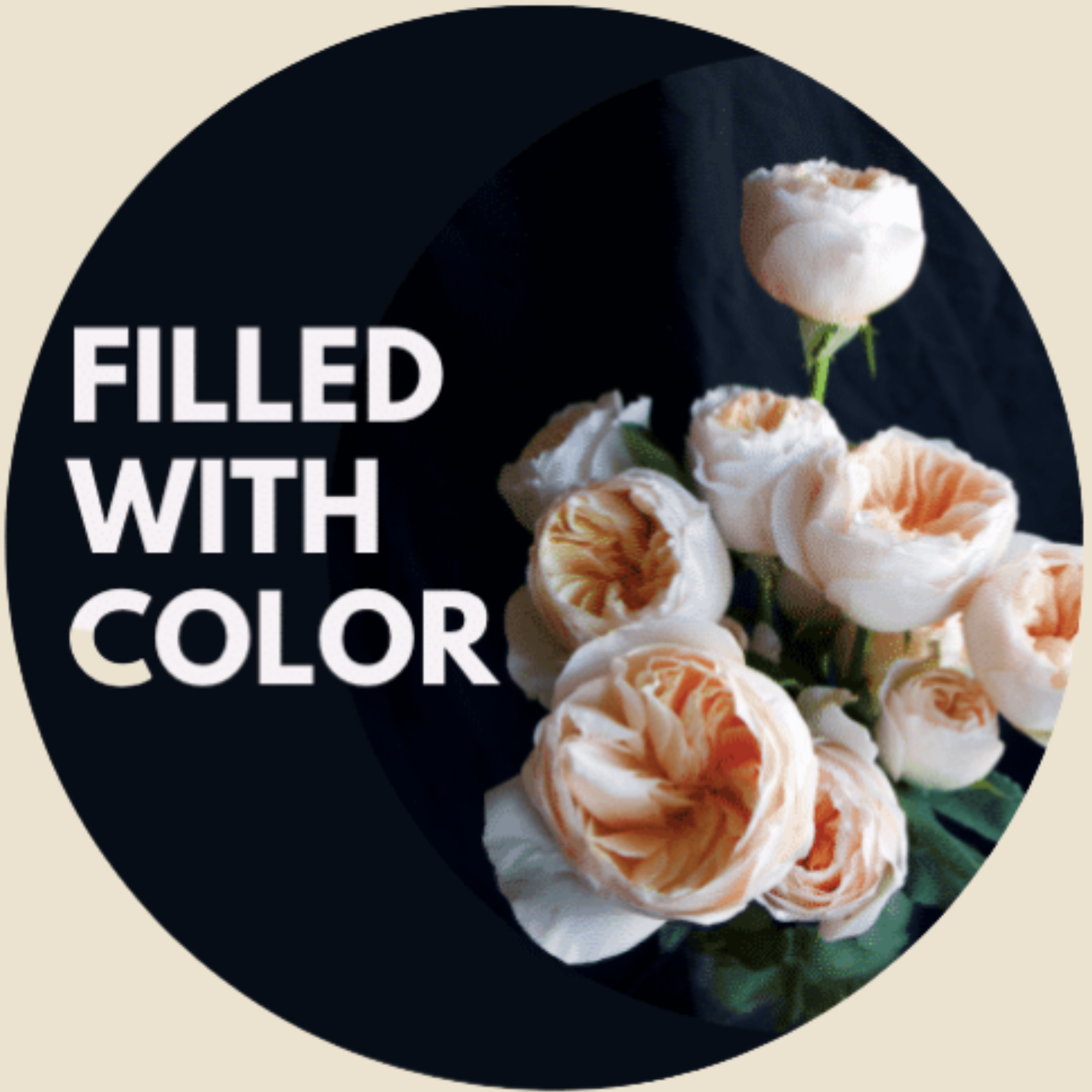 Filled With Color
